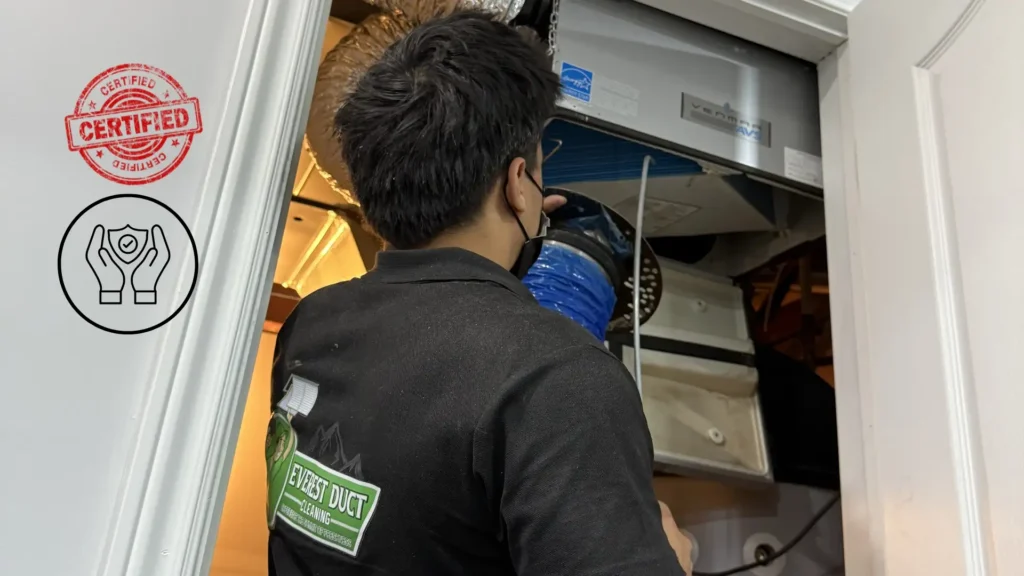 Certified & Insured Technicians