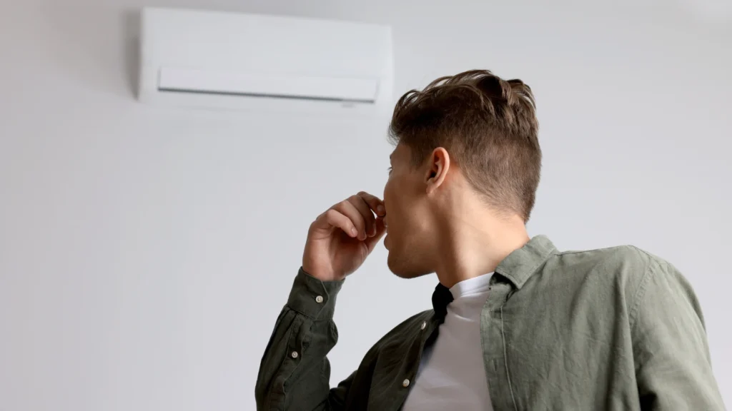 Elimination of Stale and Musty Smells